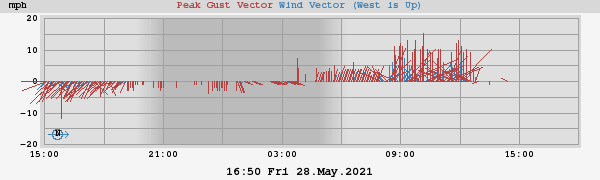 Wind/Peak Gust Vector